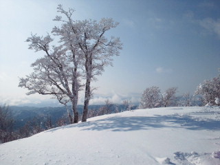 2010010411290000.jpg