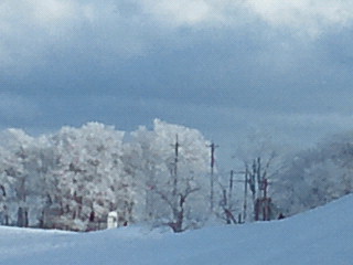 2010012214440000.jpg