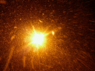 2013010318390000.jpg